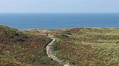 Sylt (29)